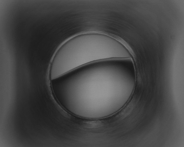 X0000100951388200806241113