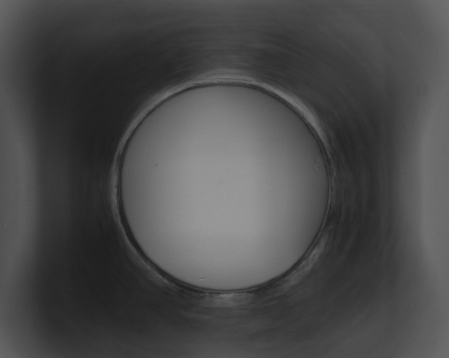 X0000100951390200806241113