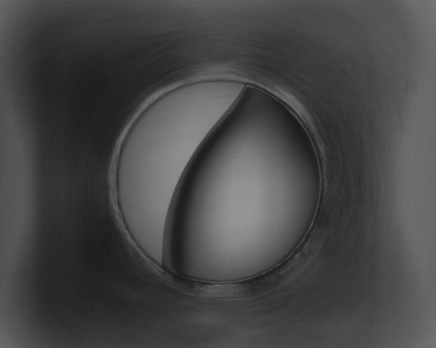 X0000100951392200806241113