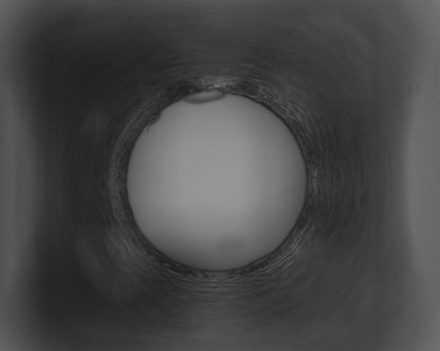 X0000100951393200806241113