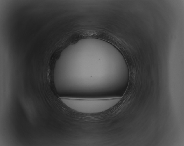 X0000100951394200806241113
