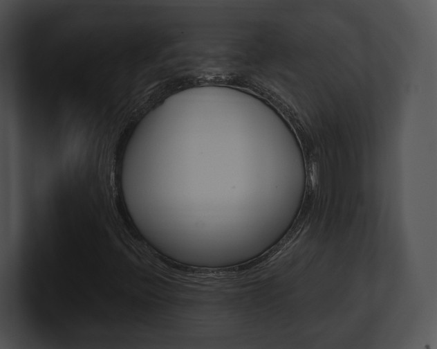 X0000100951396200806241113