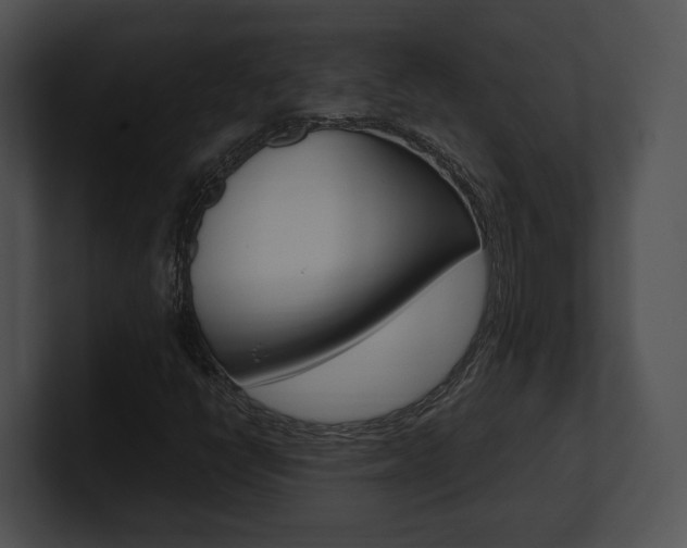 X0000100951398200806241113
