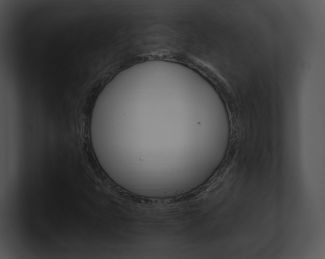X0000100951399200806241113