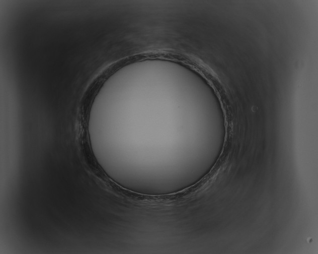 X0000100951400200806241113