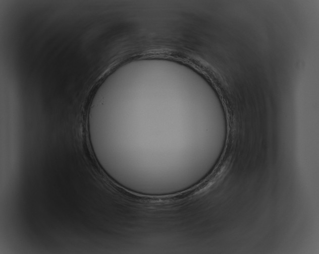 X0000100951401200806241113