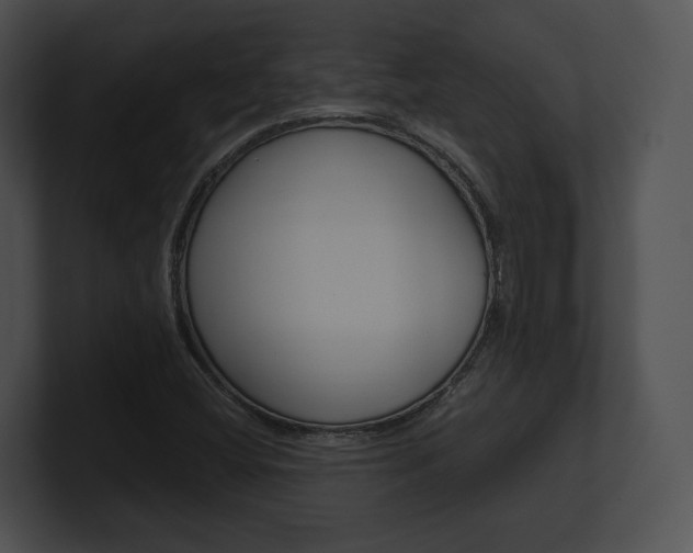X0000100951404200806241113