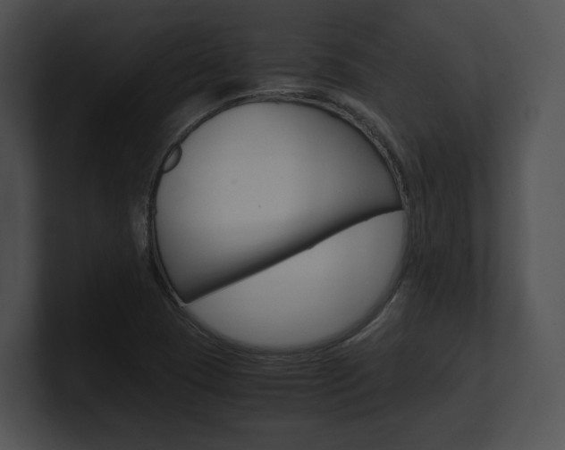 X0000100951409200806241113