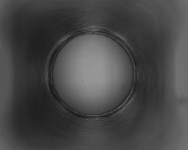 X0000100951410200806241113
