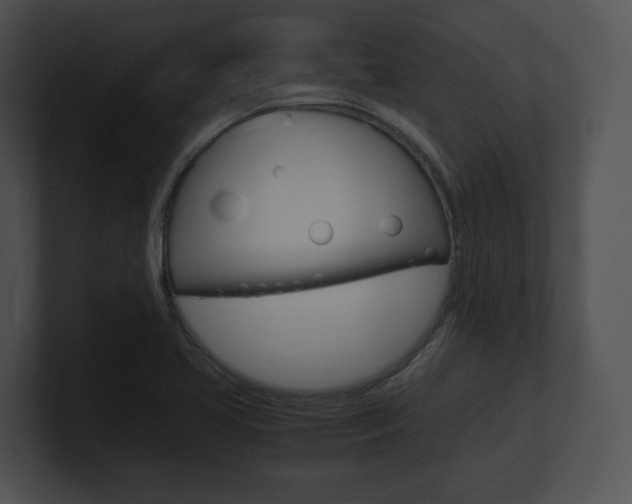 X0000100951413200806241113