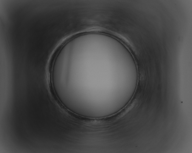 X0000100951414200806241113