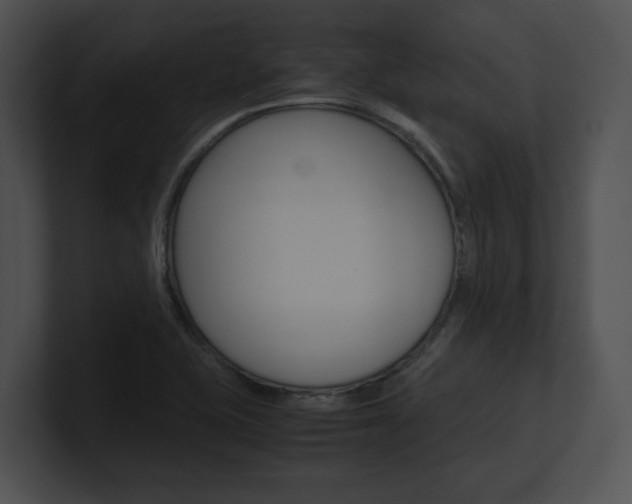 X0000100951415200806241113