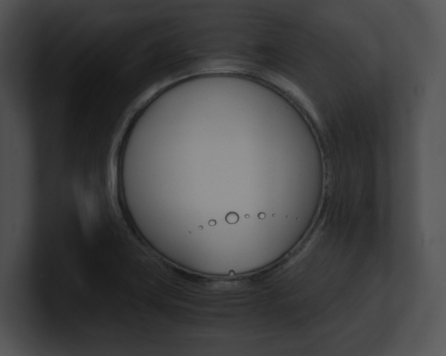 X0000100951419200806241113