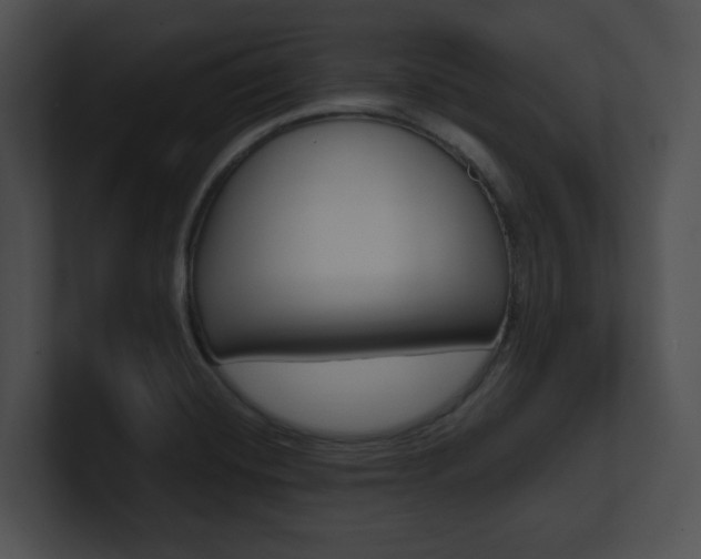 X0000100951420200806241113