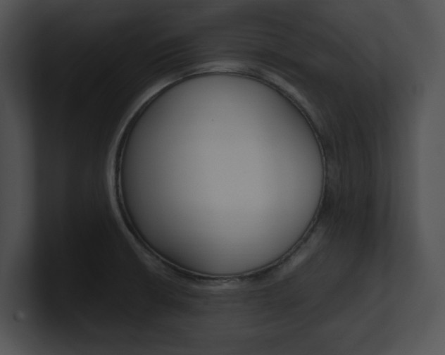 X0000100951426200806241113