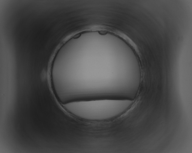 X0000100951429200806241113