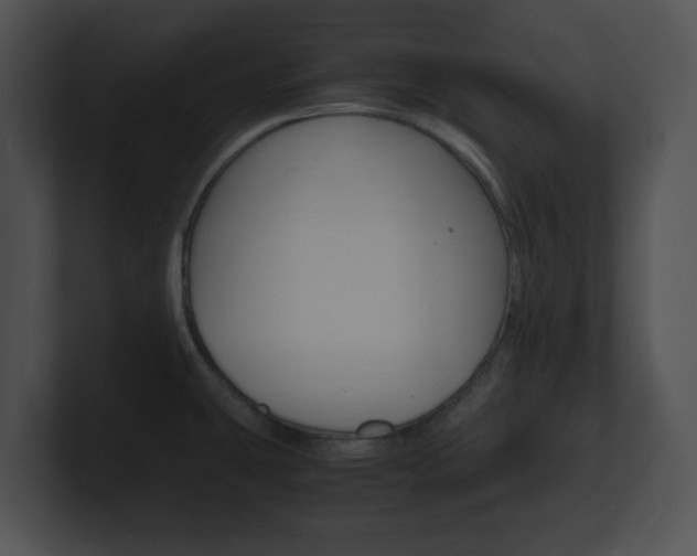 X0000100951431200806241113