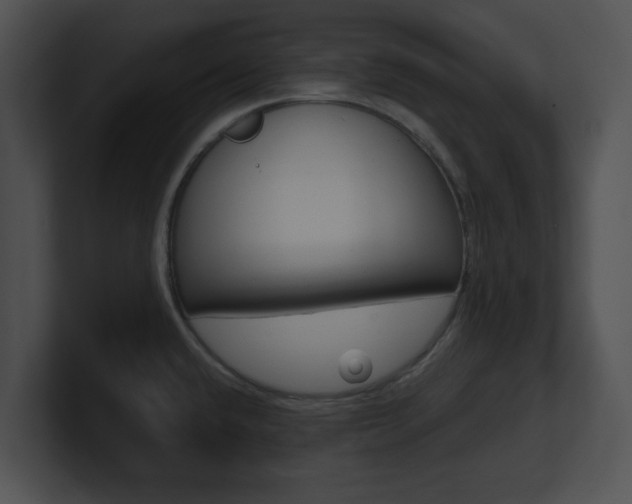 X0000100951432200806241113
