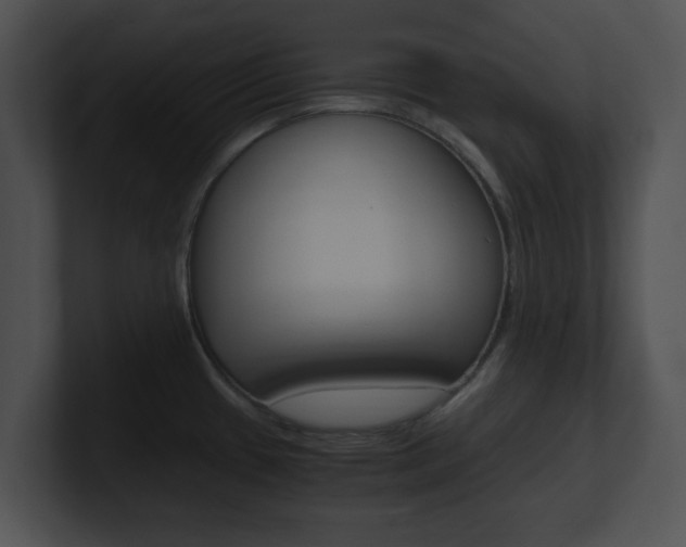 X0000100951433200806241113
