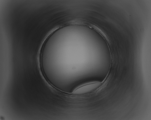 X0000100951434200806241113