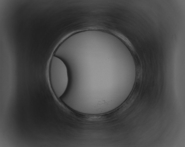 X0000100951439200806241113