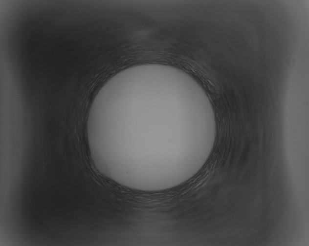 X0000100951441200806241113