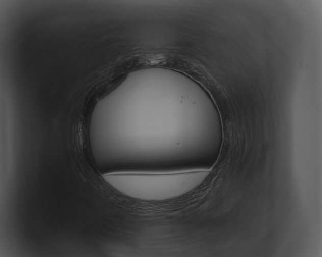 X0000100951442200806241113