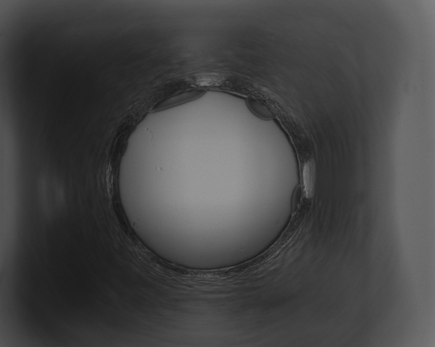 X0000100951443200806241113