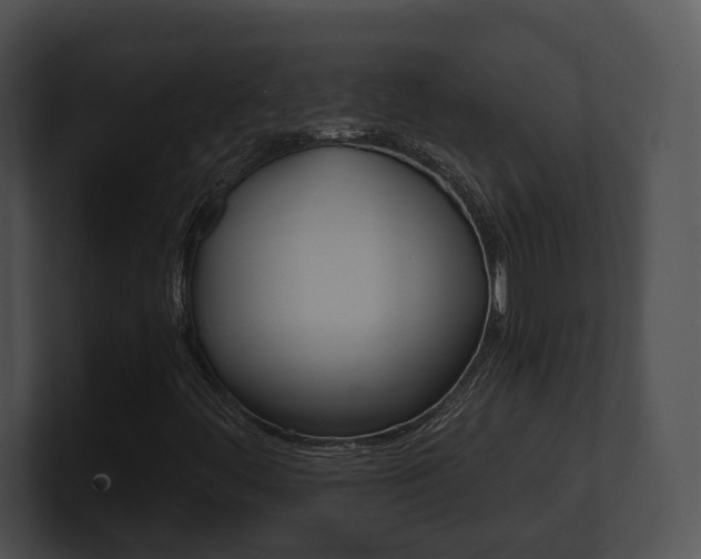 X0000100951444200806241113