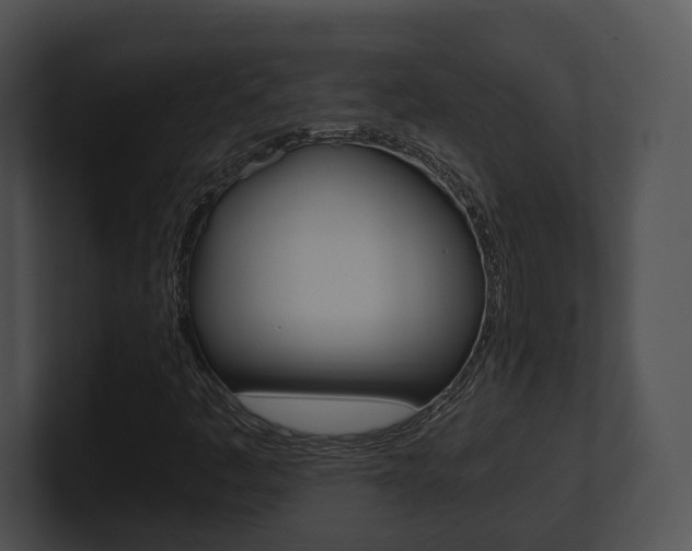 X0000100951445200806241113