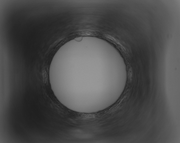 X0000100951446200806241113