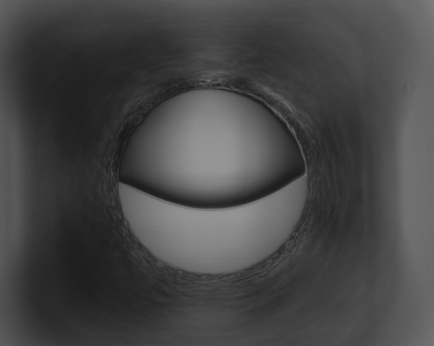 X0000100951447200806241113
