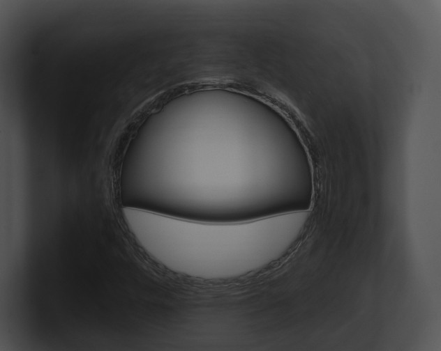 X0000100951448200806241113
