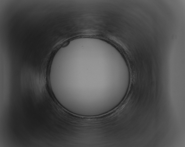 X0000100951451200806241113