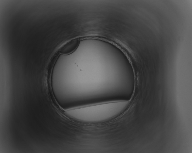 X0000100951452200806241113