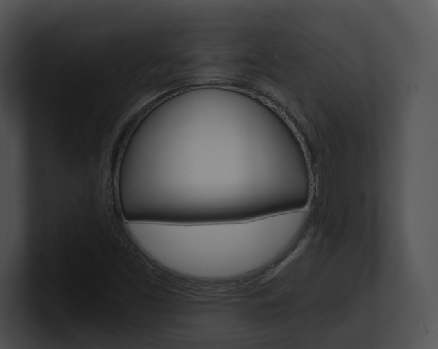 X0000100951453200806241113
