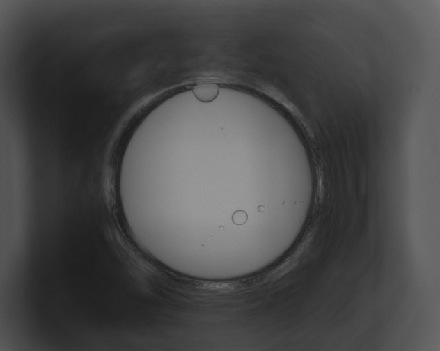 X0000100951454200806241113