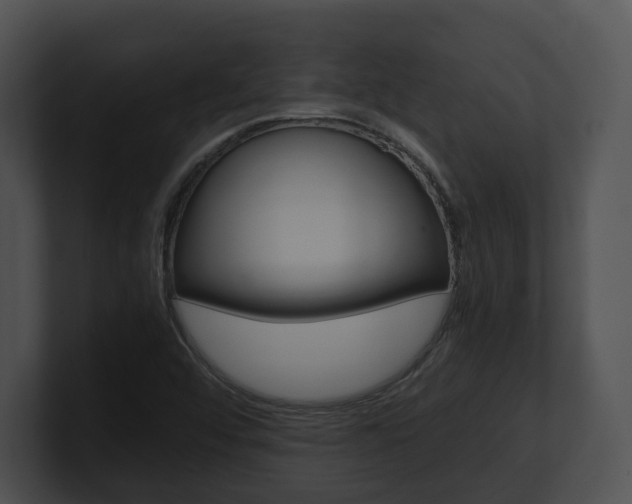 X0000100951456200806241113