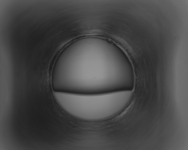 X0000100951457200806241113