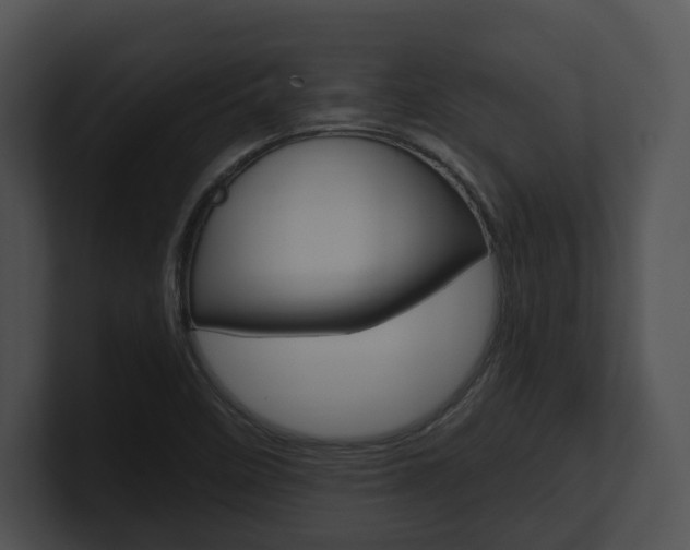 X0000100951458200806241113