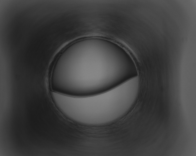 X0000100951460200806241113