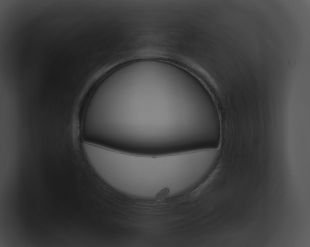X0000100951461200806241113