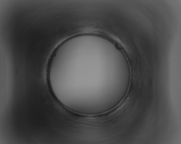 X0000100951463200806241112