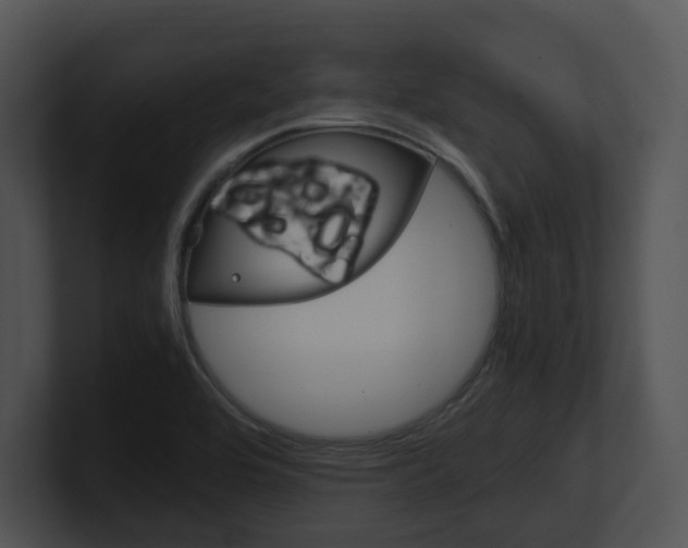 X0000100951464200806241112