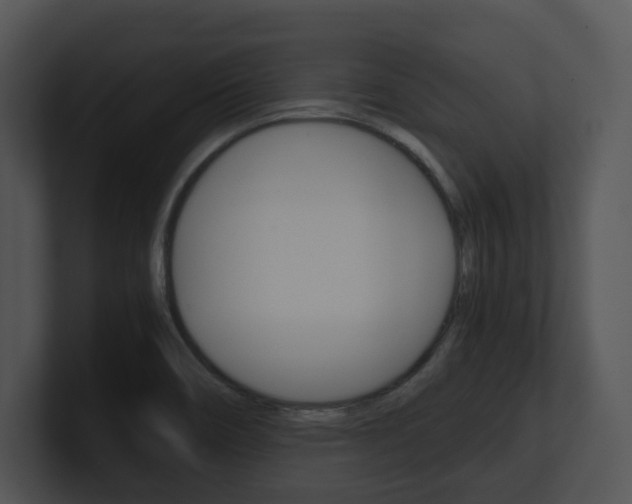 X0000100951466200806241112