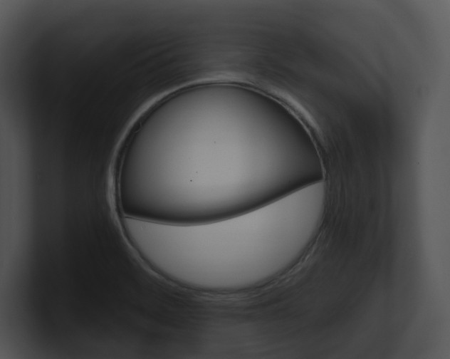 X0000100951468200806241112