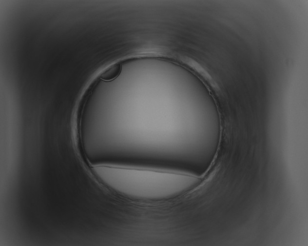 X0000100951469200806241112