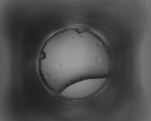 X0000100951471200806241112