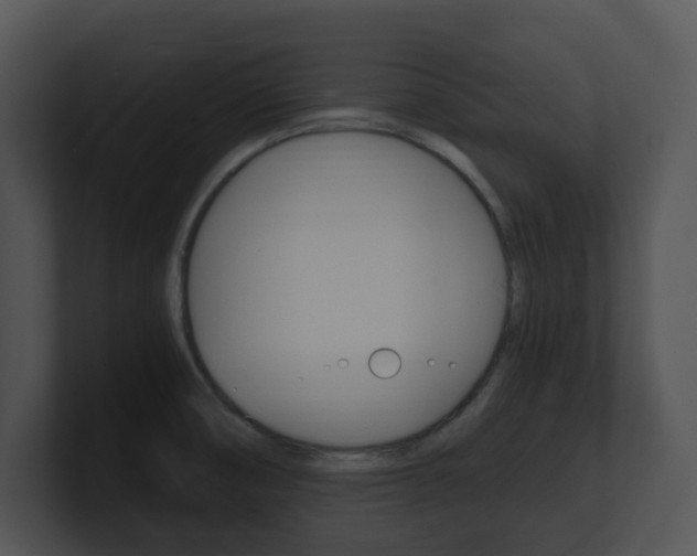 X0000100951474200806241112