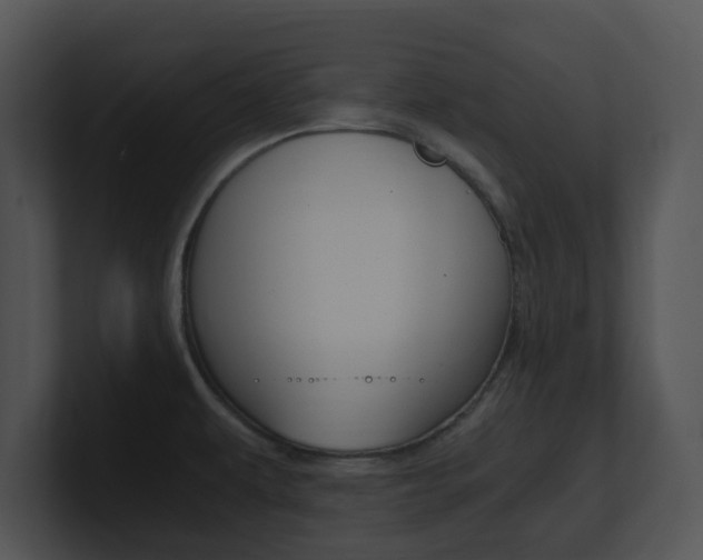 X0000100951479200806241112